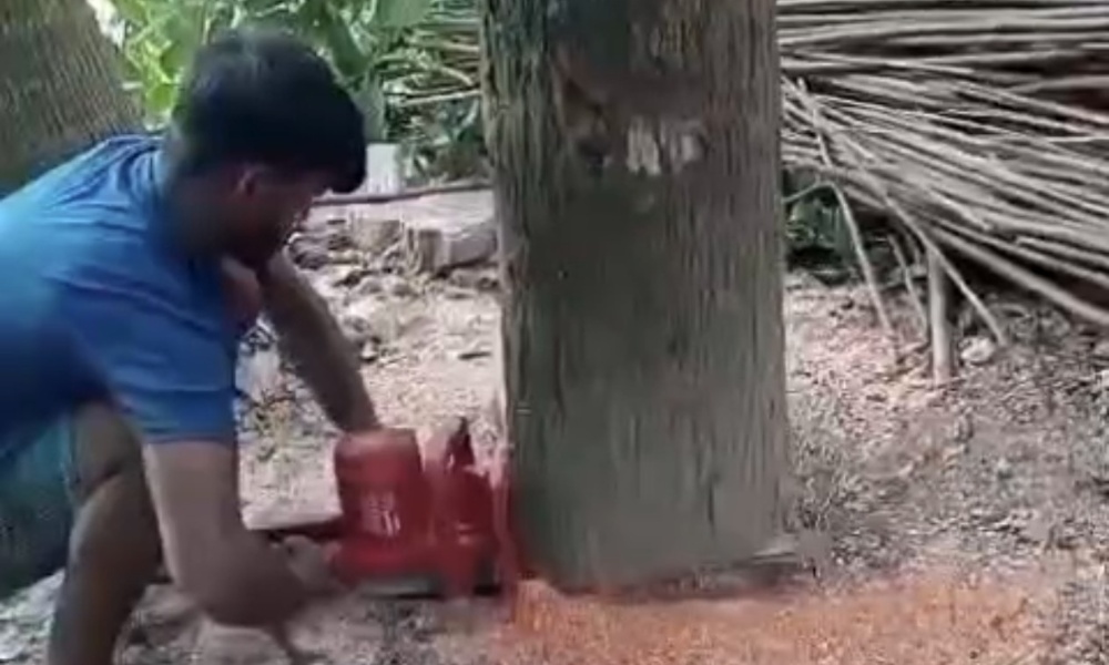 00